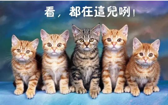 1567072648255910.png 1.png